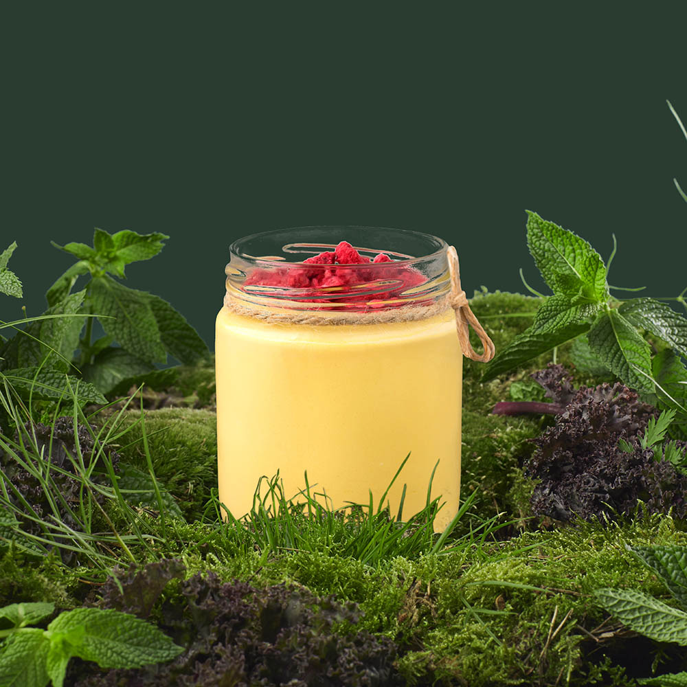 MANGO MOUSSE